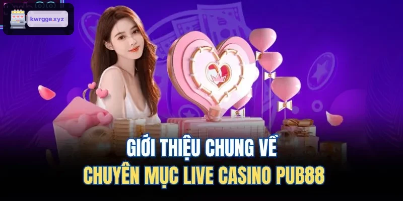 Giới thiệu chung về chuyên mục live casino XO88