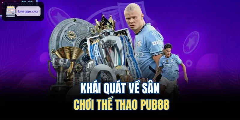 Khái quát về sân chơi thể thao XO88