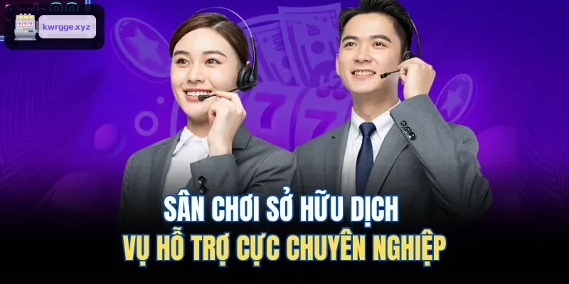 Dịch vụ hỗ trợ khách hàng chuyên nghiệp