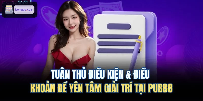 Tuân thủ điều kiện & điều khoản để yên tâm giải trí tại XO88